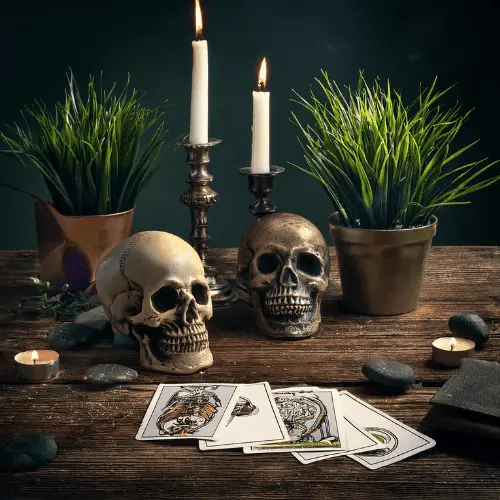 consultas de tarot tuscaloosa al botanica amarre amazonico.webp