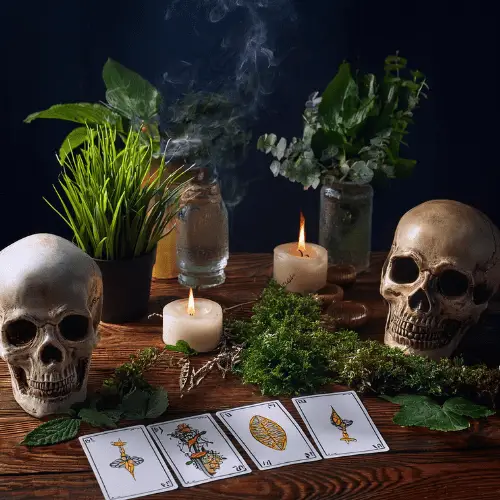 hechizos de amor aurora il botanica amarre amazonico.webp